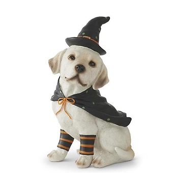 Halloween Witch Puppy