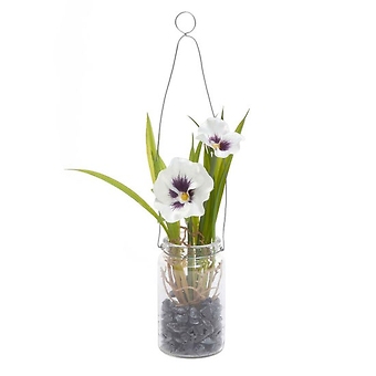 Pansy in Glass Bottle