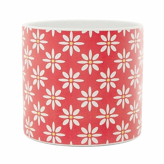 Coral & White Daisy Container