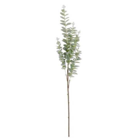 36” Light Green Gunnii Eucalyptus Stem