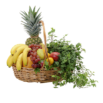 Fabulous Fruit Basket