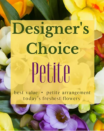 Designer\'s Choice - Petite