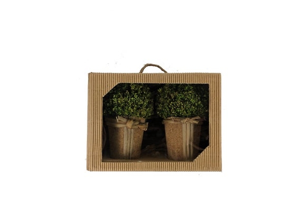 Set of 2 Boxwood Topiary In Pot